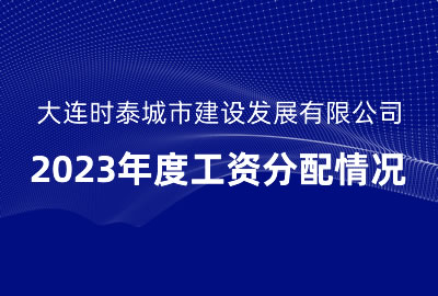 大連時(shí)泰城市建設(shè)發(fā)展有限公司2023年度工資分配情況